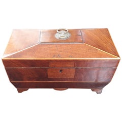 19th Century Regency Mahogany Tea Caddy