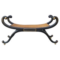 19th Century Regency Style Bench with Cane Seat