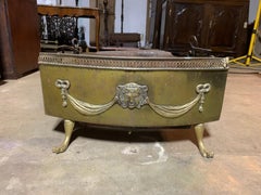 19th Century Regency Style Brass Fireplace Grate