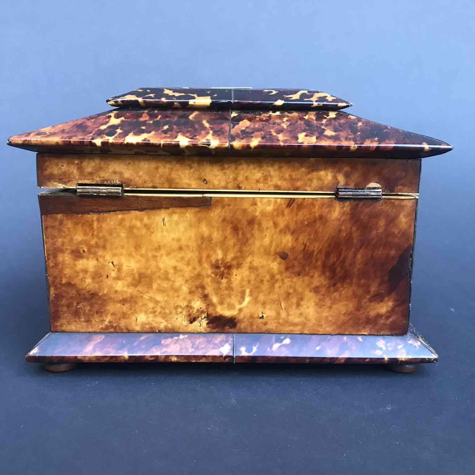 19th Century Regency Tea Caddy Tortoishell and Mother of Pearl English Box 5