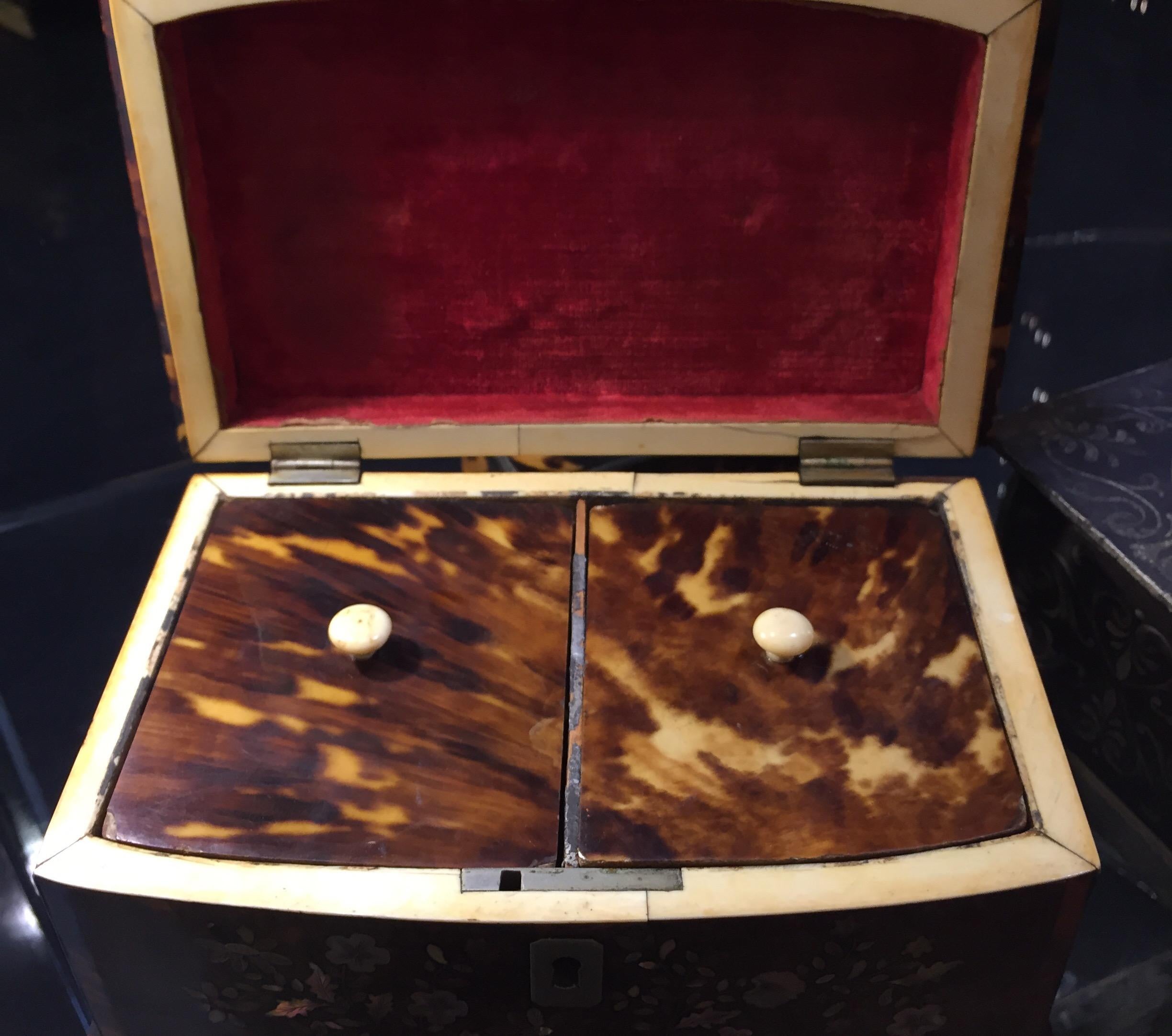 19th Century Regency Tea Caddy Tortoishell and Mother of Pearl English Box 11