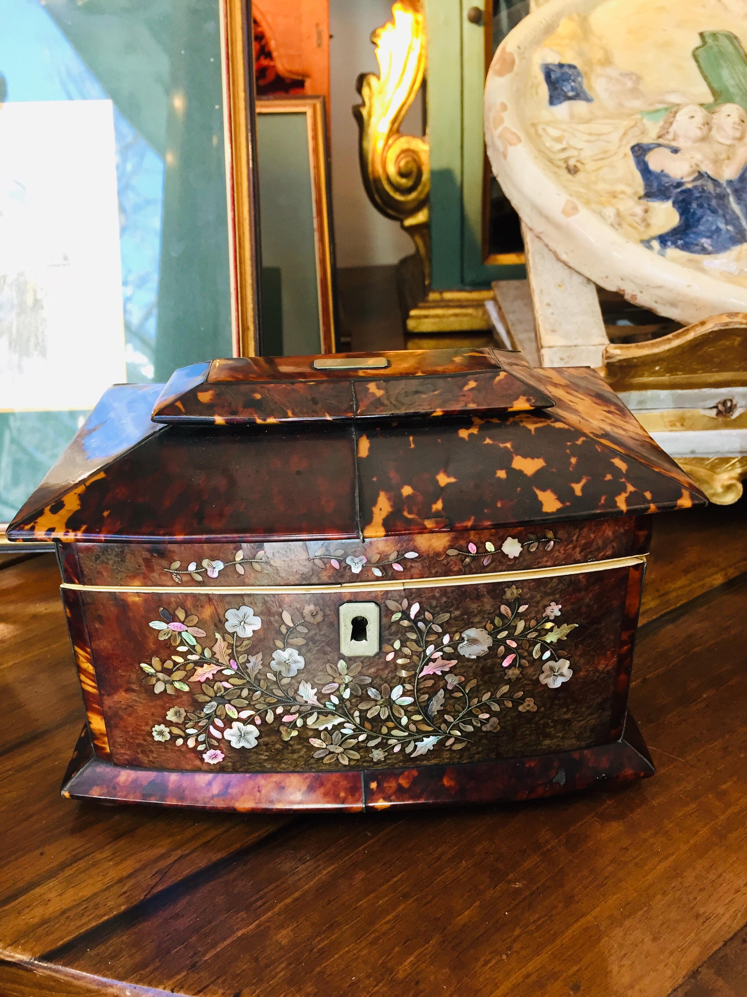 19th Century Regency Tea Caddy Tortoishell and Mother of Pearl English Box 15