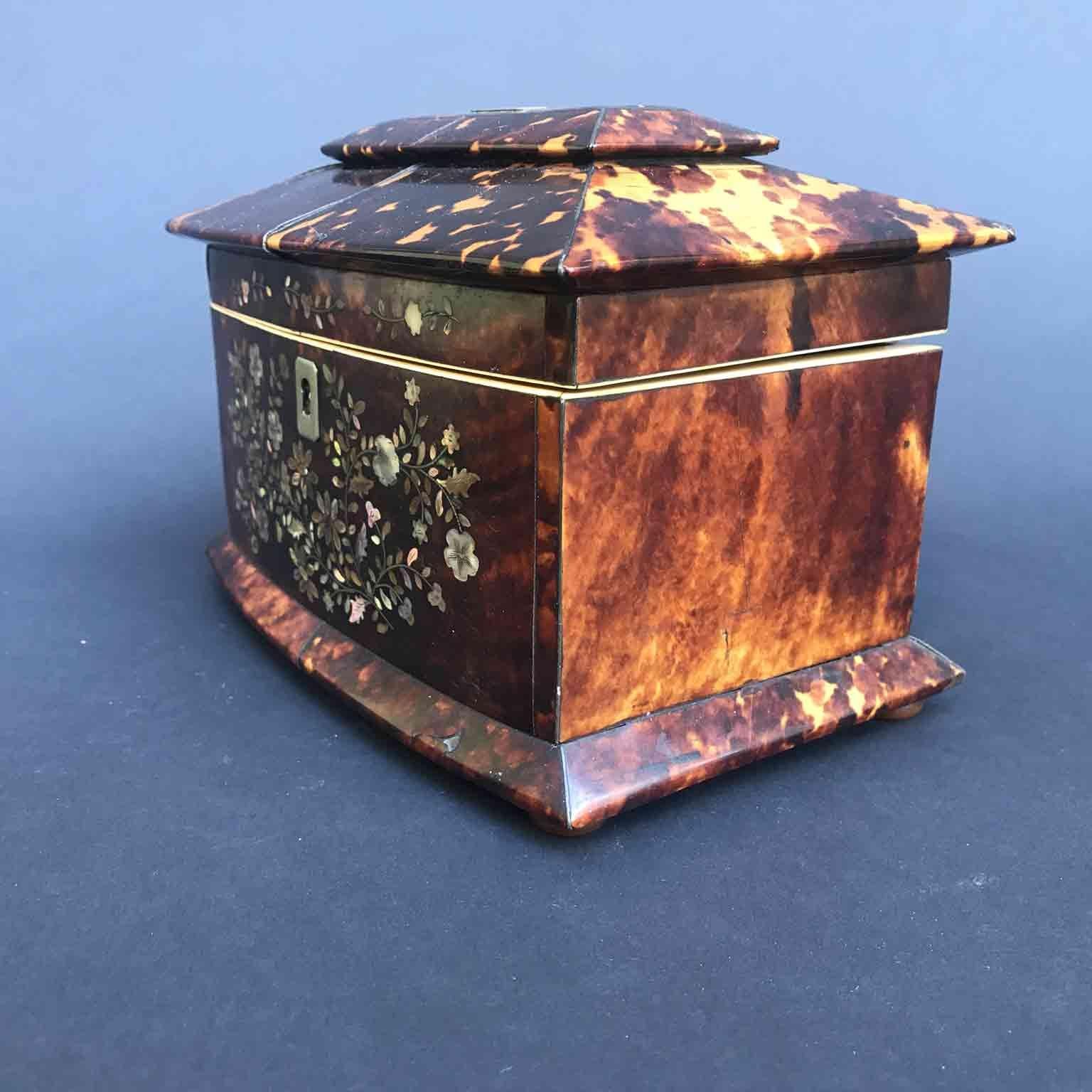 19th Century Regency Tea Caddy Tortoishell and Mother of Pearl English Box 3