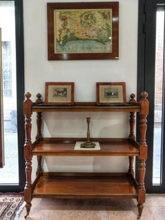 19th Century Regency Walnut English Etagere LAST PRICE