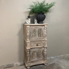 19th Century Renaissance Stripped Oak Cabinet