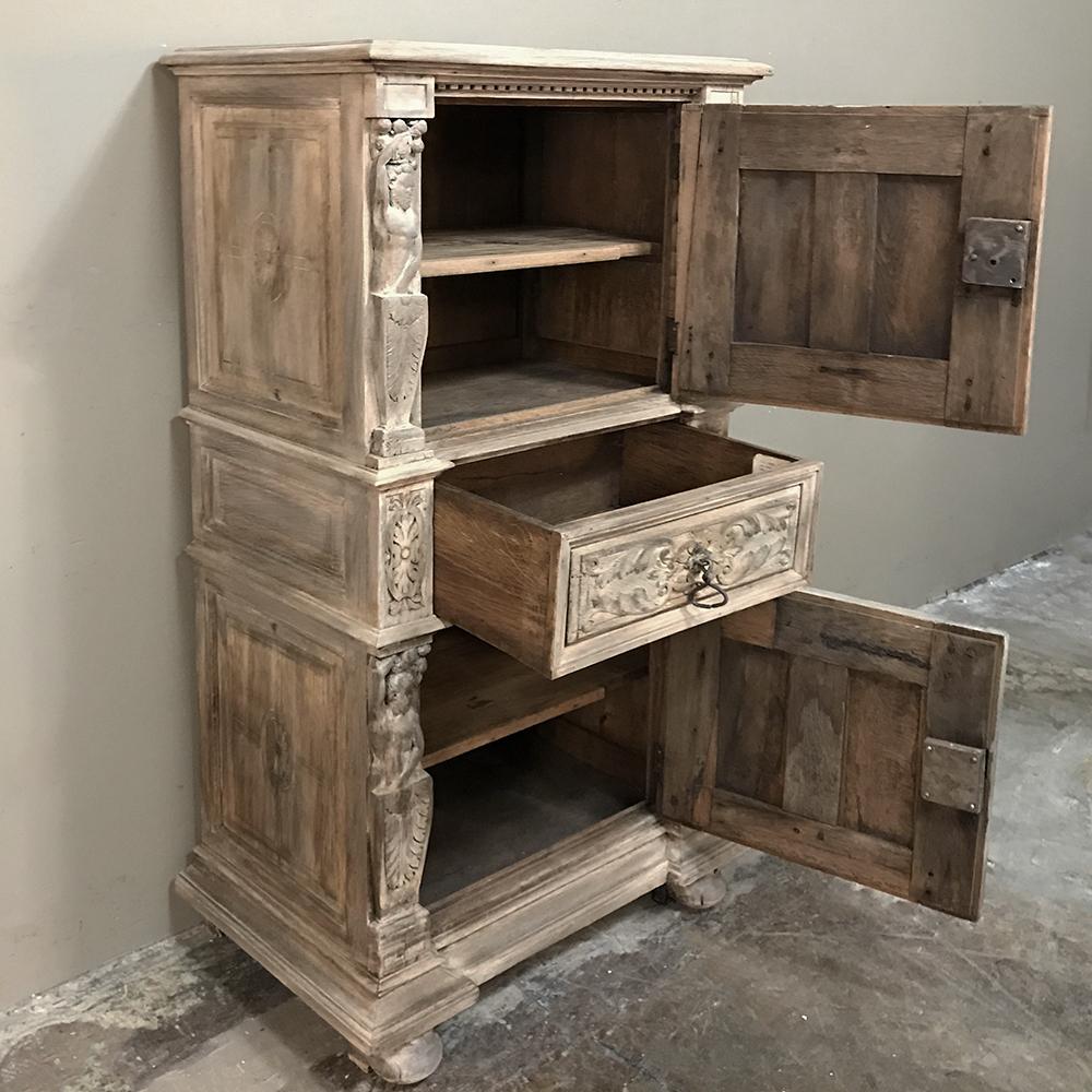 French 19th Century Renaissance Stripped Oak Cabinet