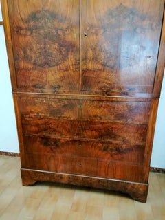 19th Century Restored Italian Walnut Wardrobe