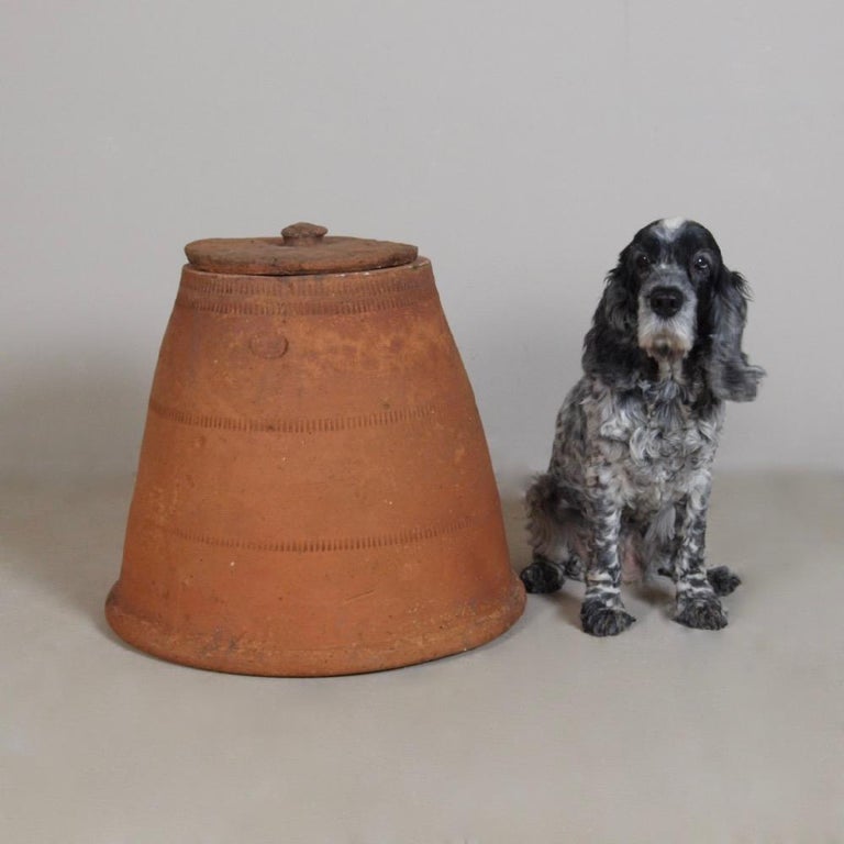 19th Century Rhubarb Forcer by T Richings Pottery Grantham at 1stDibs