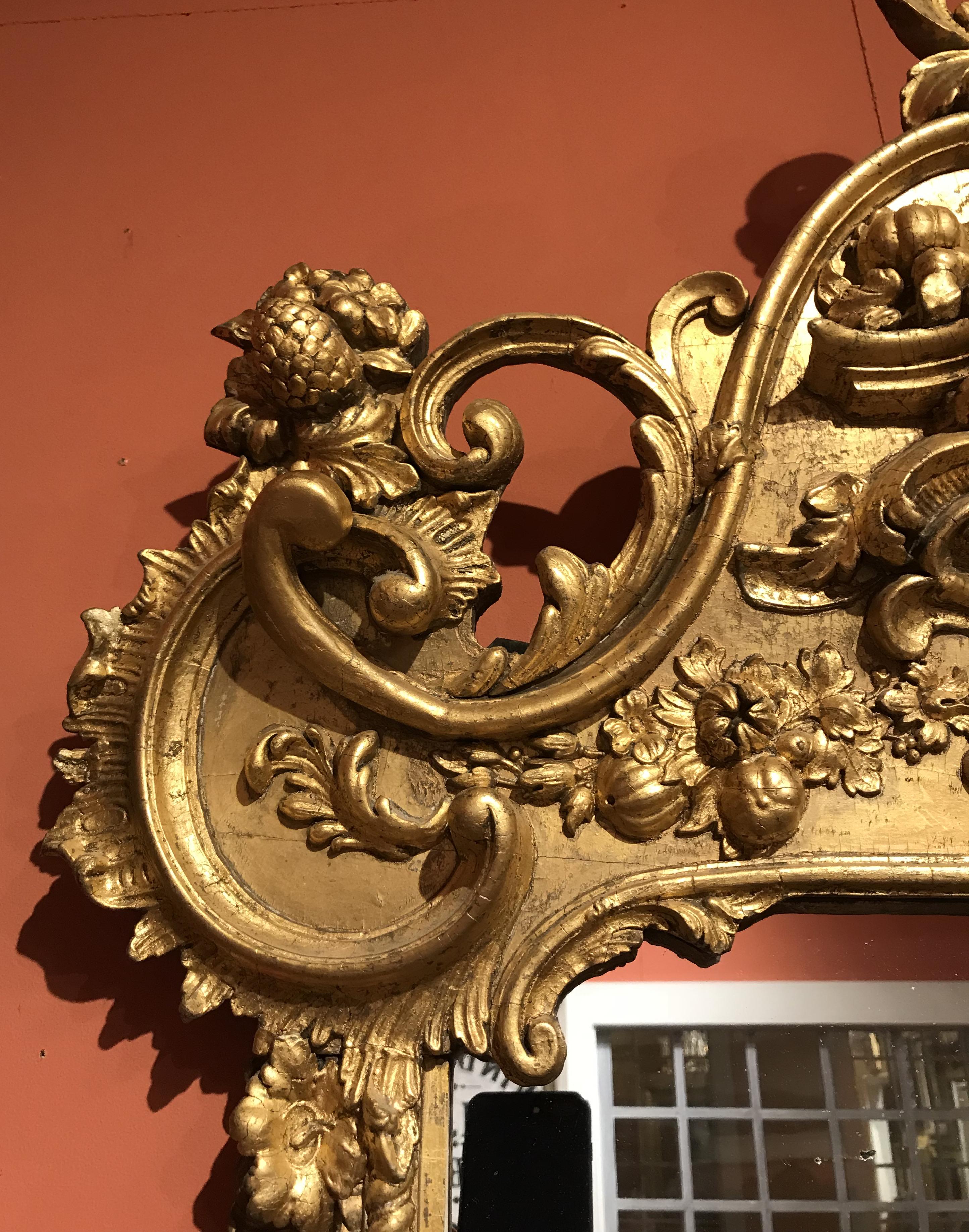 19th Century Rococo Giltwood Pier Mirror in Scroll and Dolphin Motif 1