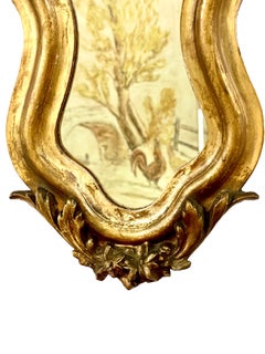 19th Century Rococo Giltwood Wall Mirror