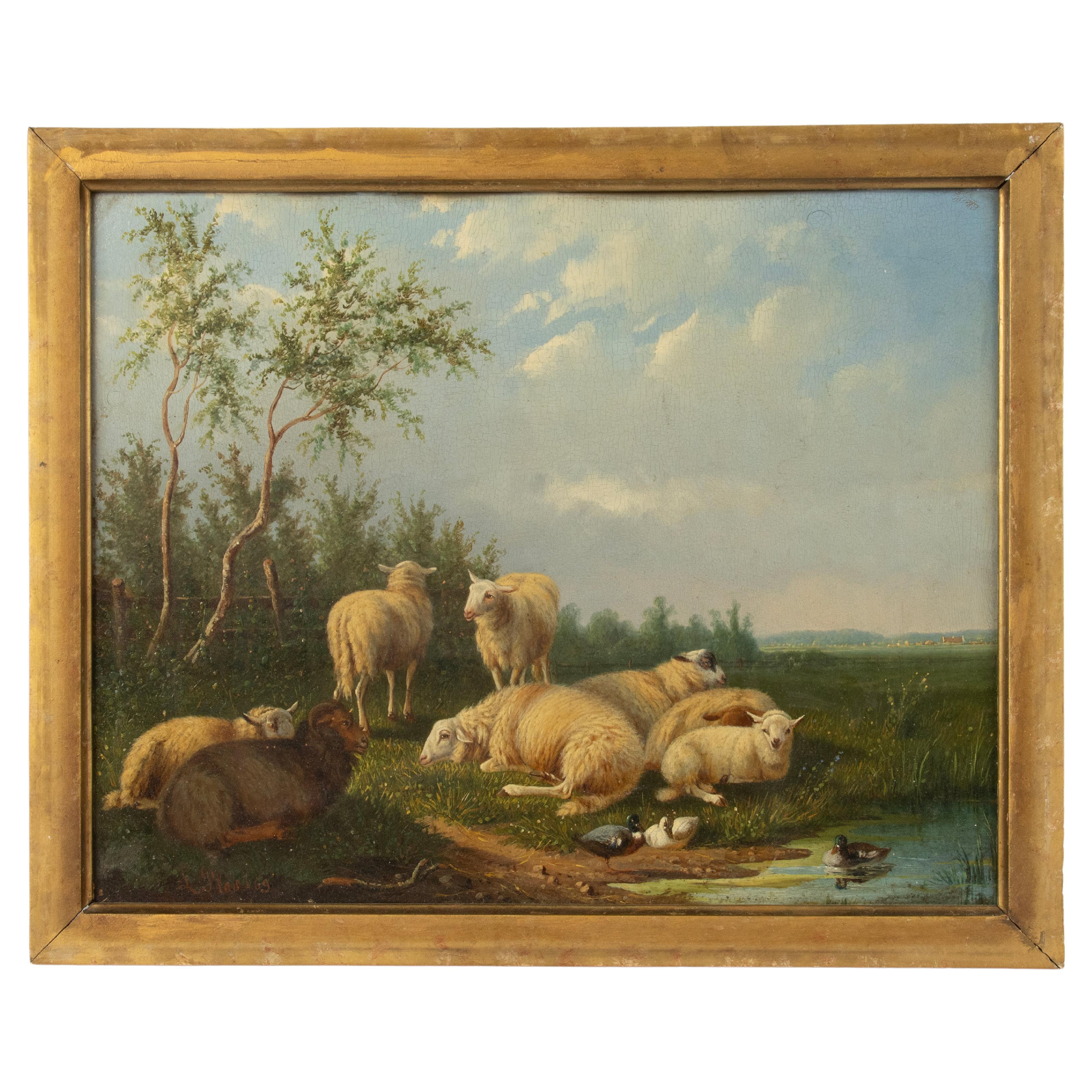 Pittura ad olio romantica del XIX secolo - Pecore nel prato - Laurens Plas - 1869