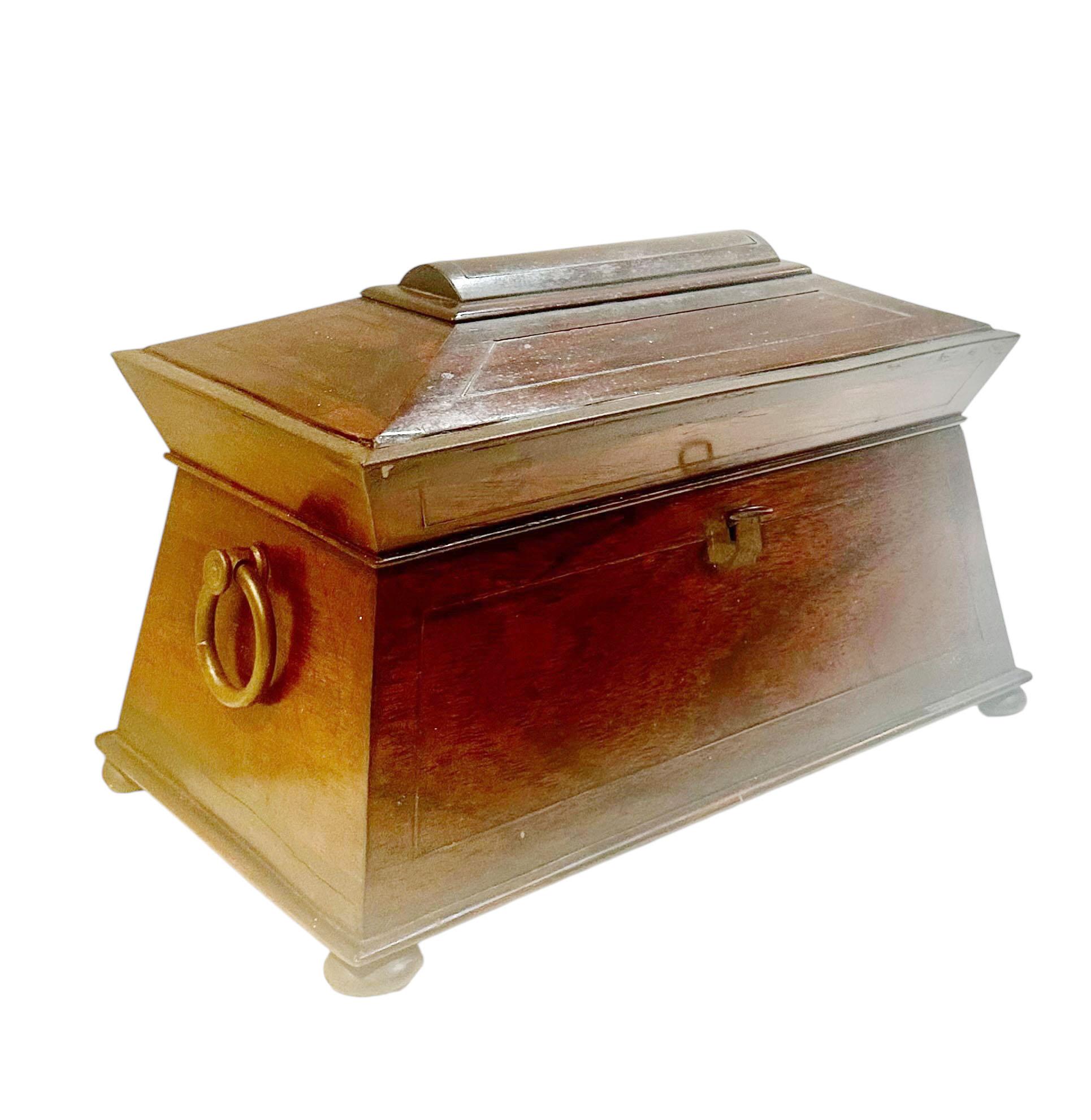 An exceptional 19th century rosewood tea caddy, originating from Saint Croix in the Virgin Islands, crafted in the English taste. This rare island piece is fashioned in a sarcophagus form with brass trim and rests on four rosewood bun feet. Two