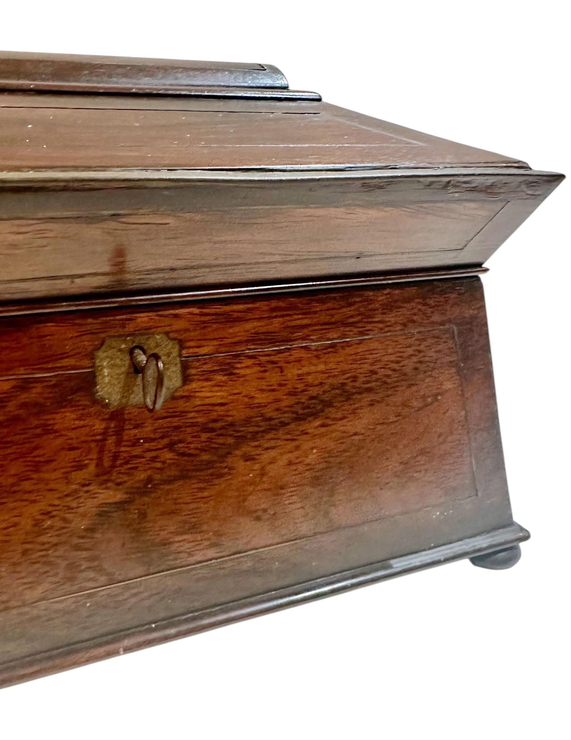 19th Century Rosewood and Brass Tea Caddy from Saint Croix For Sale 1