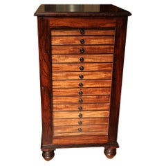19th Century Rosewood Collector's Cabinet