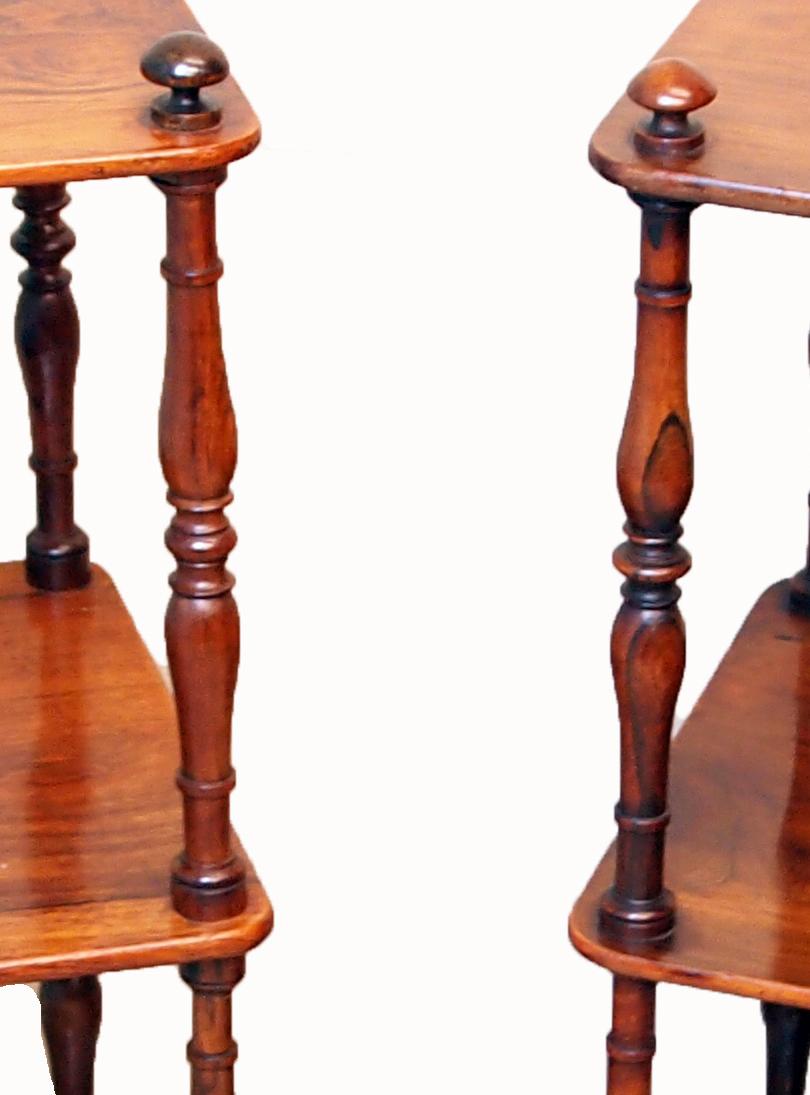 A delightful and good quality mid-19th century matched pair of
Rosewood whatnots, or étagère, having three well figured tiers
United by turned upright supports terminating on original brass
Castors

(An elegant and good quality matched pair of