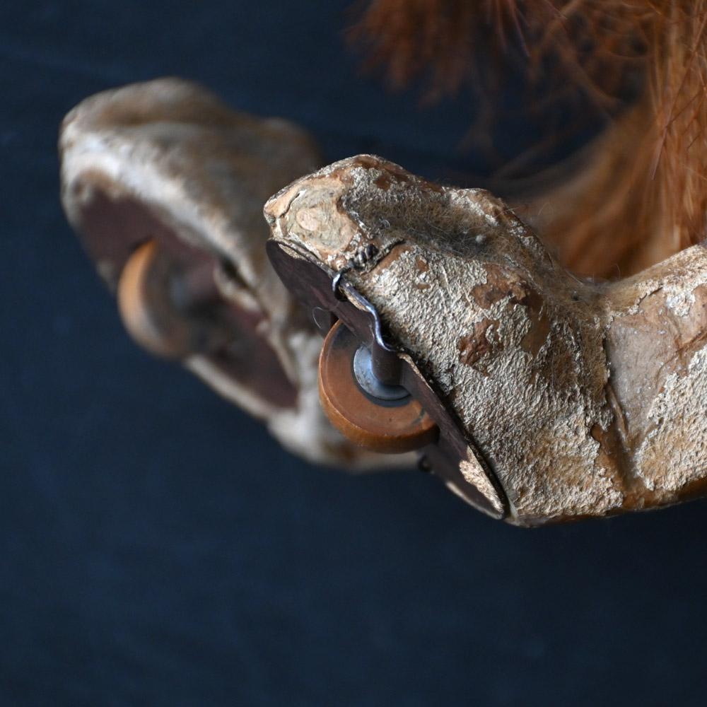 19th Century Roullet Decamp Growling Dog For Sale 8