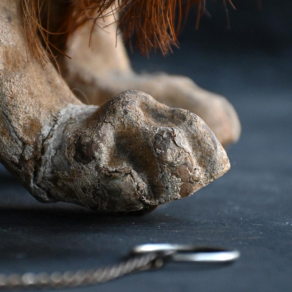 French 19th Century Roullet Decamp Growling Dog For Sale