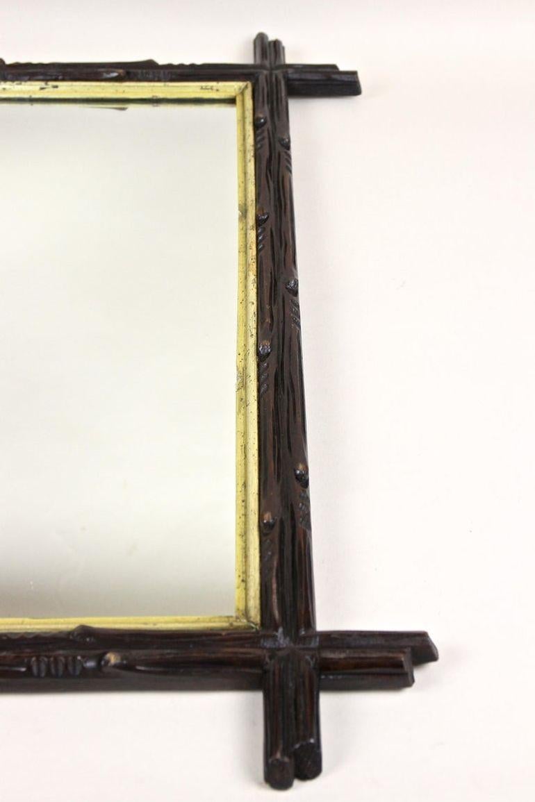 Specchio rustico Black Forest del XIX secolo con barre interne dorate, AT, circa 1880 in vendita 8