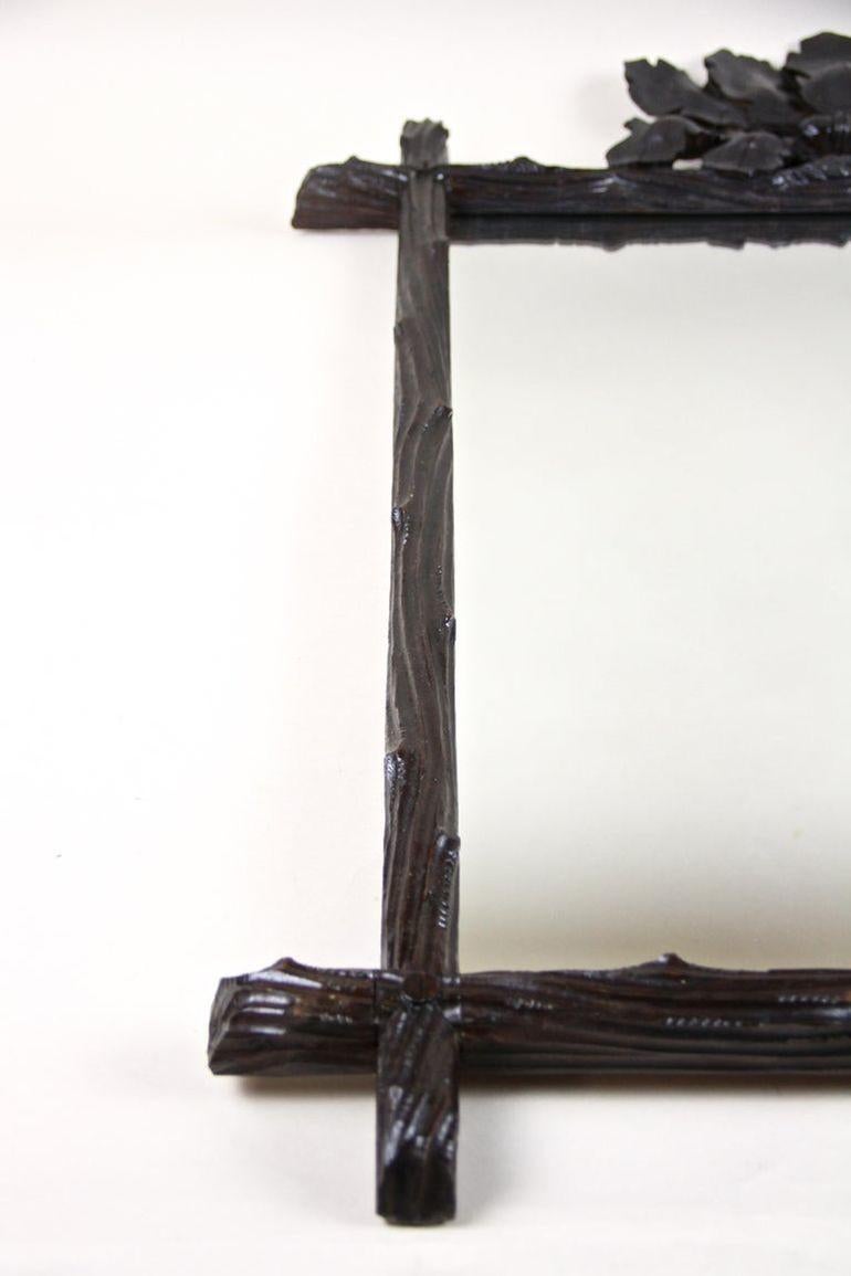 Specchio rustico Black Forest del XIX secolo con foglie di Oak e ghiande, AT 1870 ca. in vendita 8