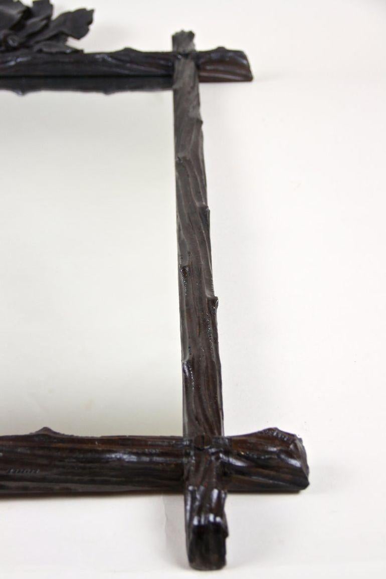 Specchio rustico Black Forest del XIX secolo con foglie di Oak e ghiande, AT 1870 ca. in vendita 9
