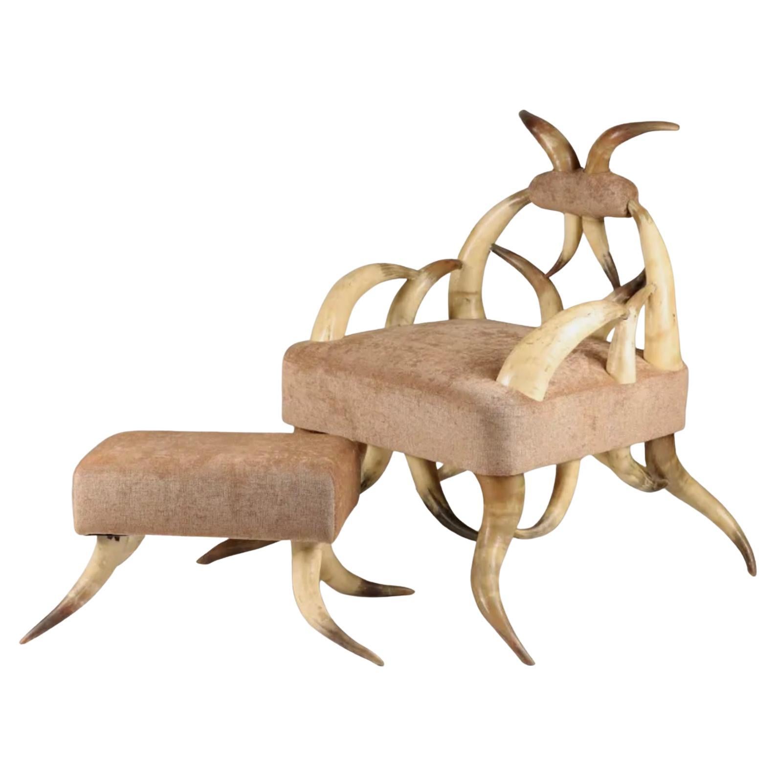 19th Century Rustic Cattle Horn Armchair and Ottoman/Footstool