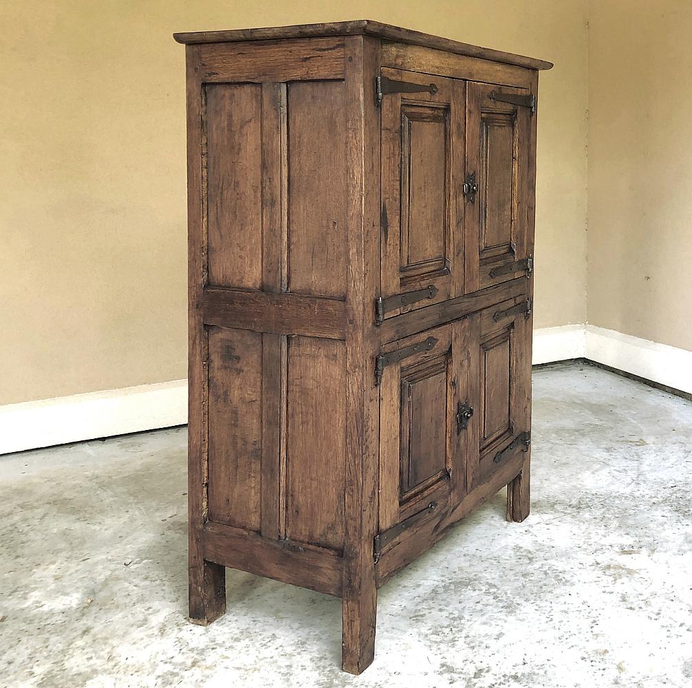 19th Century Rustic Country French Cabinet In Good Condition In Dallas, TX
