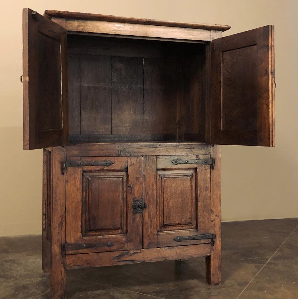 19th Century Rustic Country French Cabinet 4