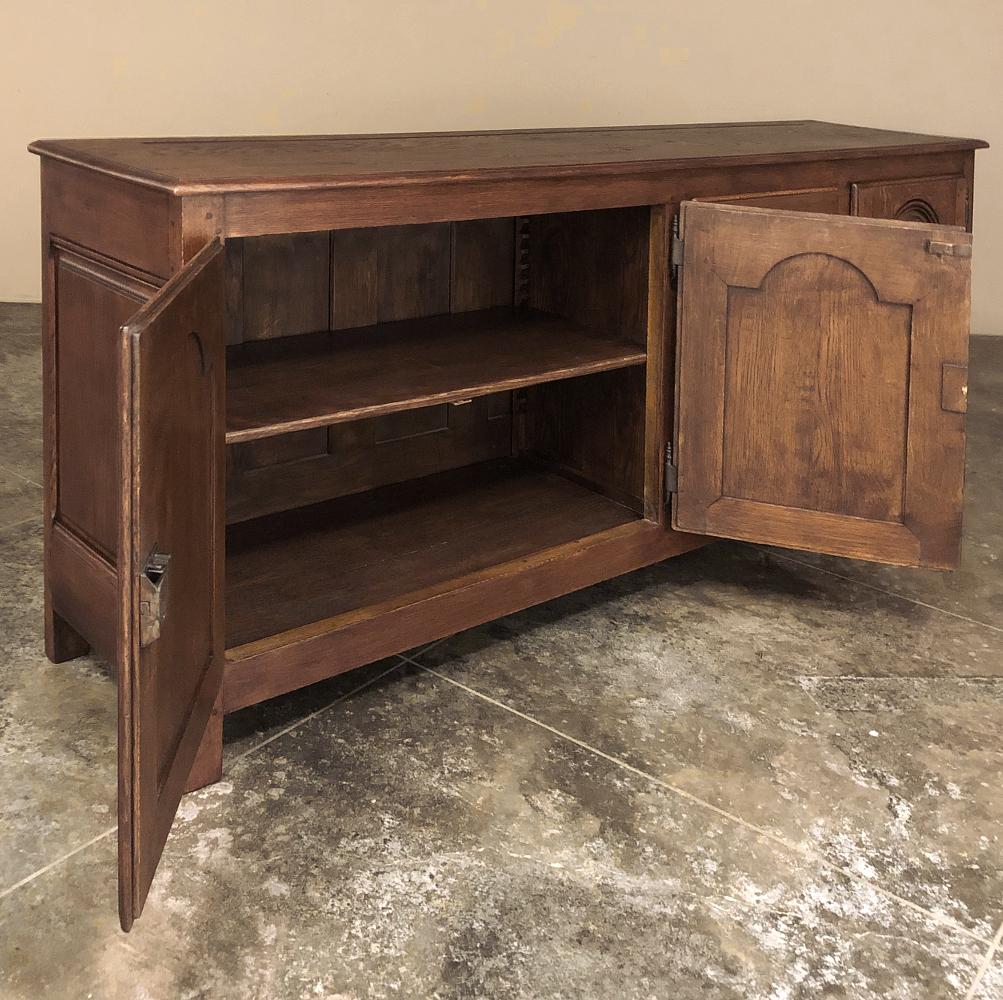 19th Century Rustic Country French Credenza, Buffet For Sale 1
