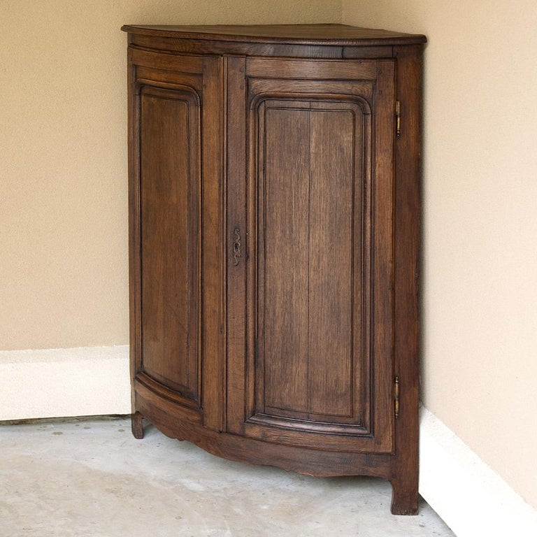 19th Century Rustic Country French Demilune Corner Cabinet At 1stdibs