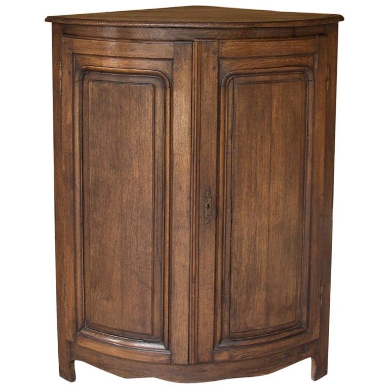 19th Century Rustic Country French Demilune Corner Cabinet At 1stdibs