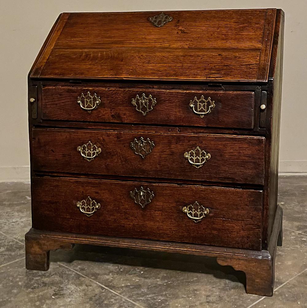 19th Century rustic english chippendale secretary desk is the ultimate answer to the age-old question of providing a small workspace within a living area without taking up too much floor. In a design only 20 inches deep and three feet wide, we have