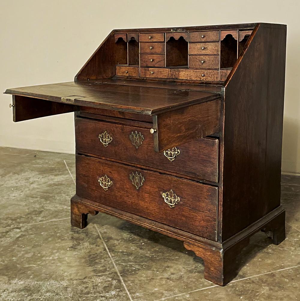 Brass 19th Century Rustic English Chippendale Secretary Desk