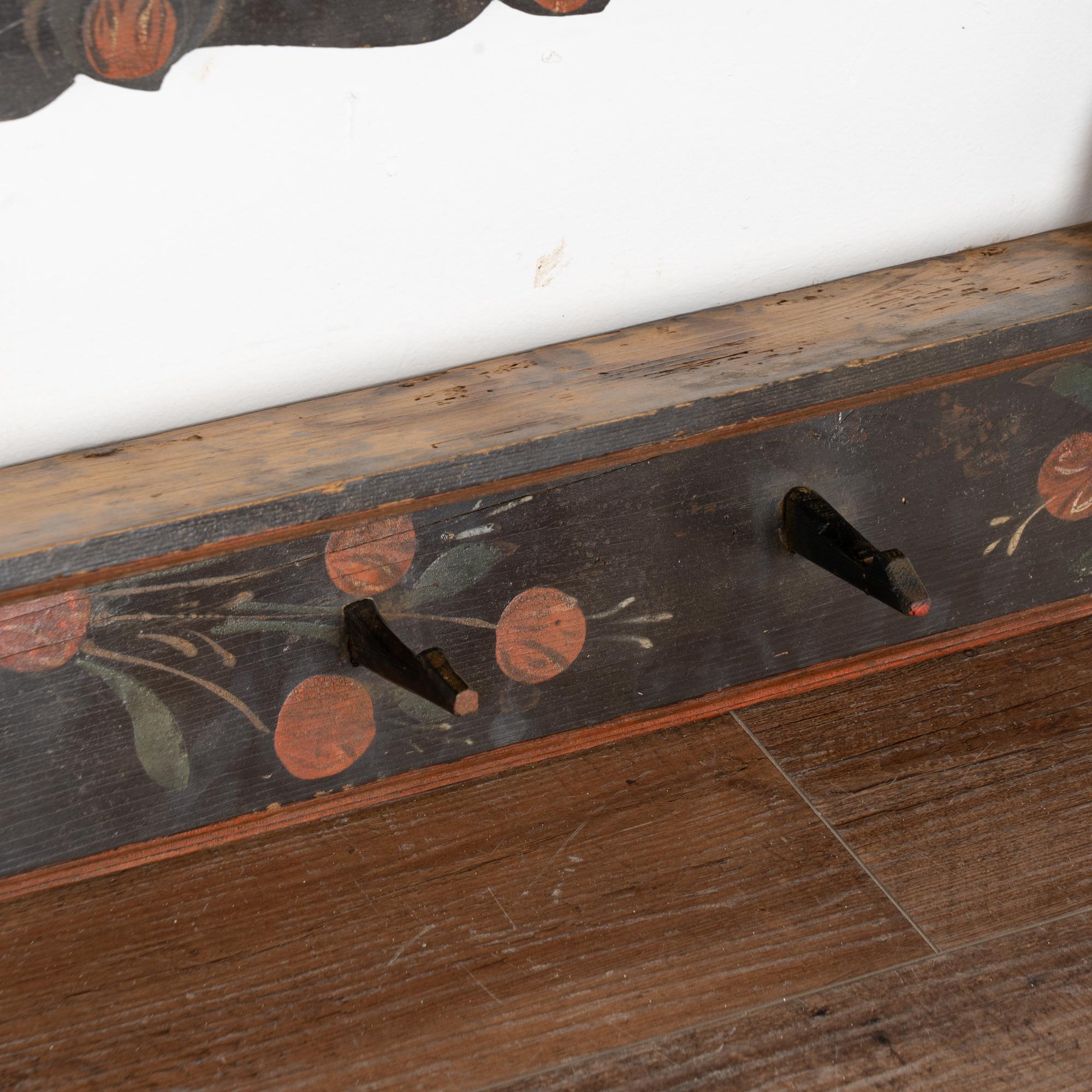 19th Century Rustic Hand-Painted 10 Peg Hanging Rack, Hungary 1
