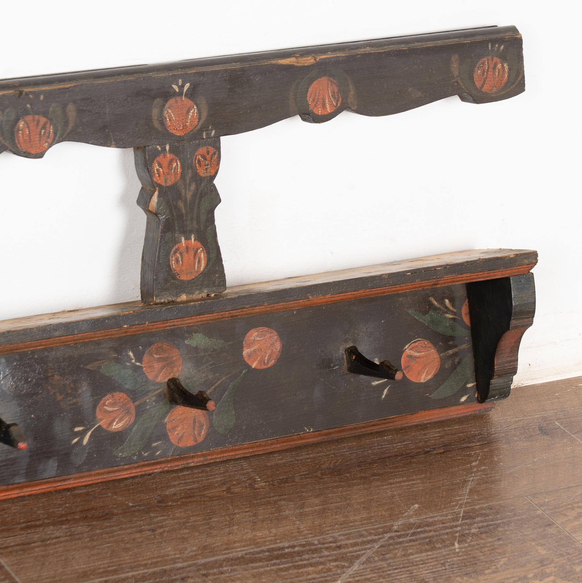 19th Century Rustic Hand-Painted 10 Peg Hanging Rack, Hungary 2