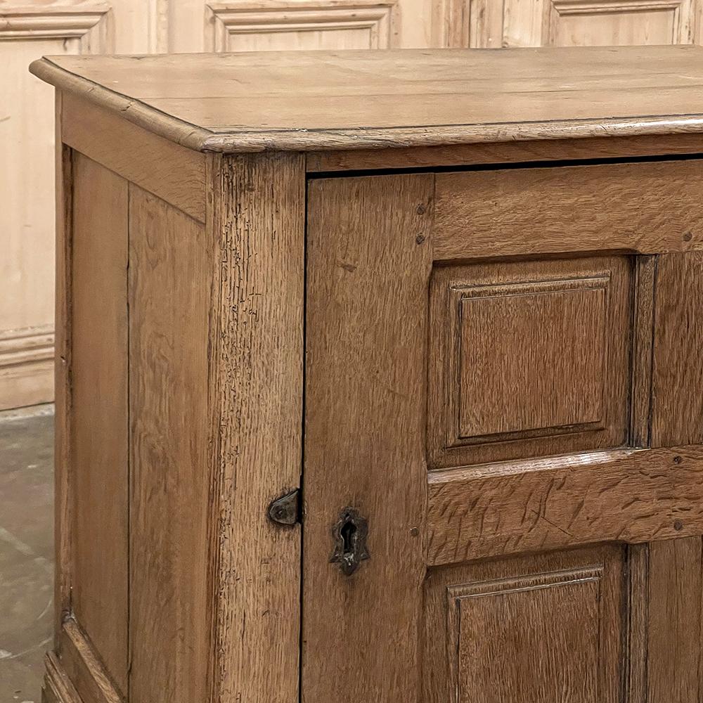 19th Century Rustic Oak Cabinet ~ Chest of Drawers For Sale 4