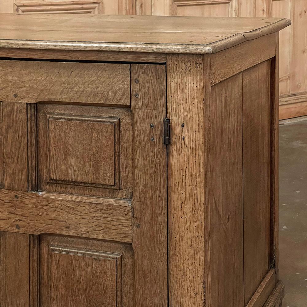 19th Century Rustic Oak Cabinet ~ Chest of Drawers For Sale 8