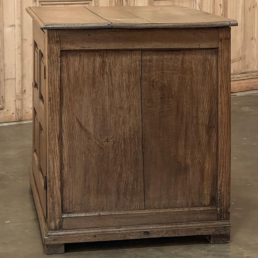 19th Century Rustic Oak Cabinet ~ Chest of Drawers For Sale 13