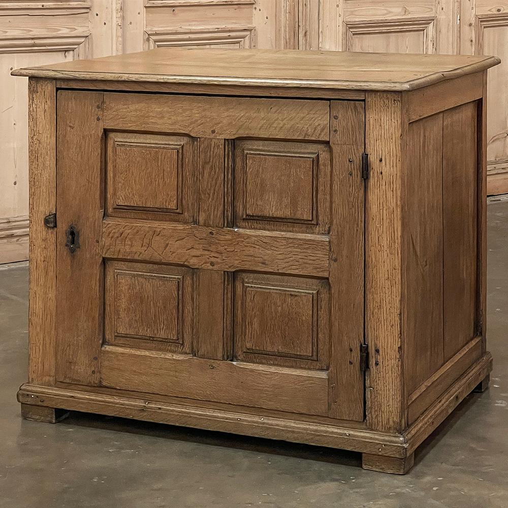 French 19th Century Rustic Oak Cabinet ~ Chest of Drawers For Sale