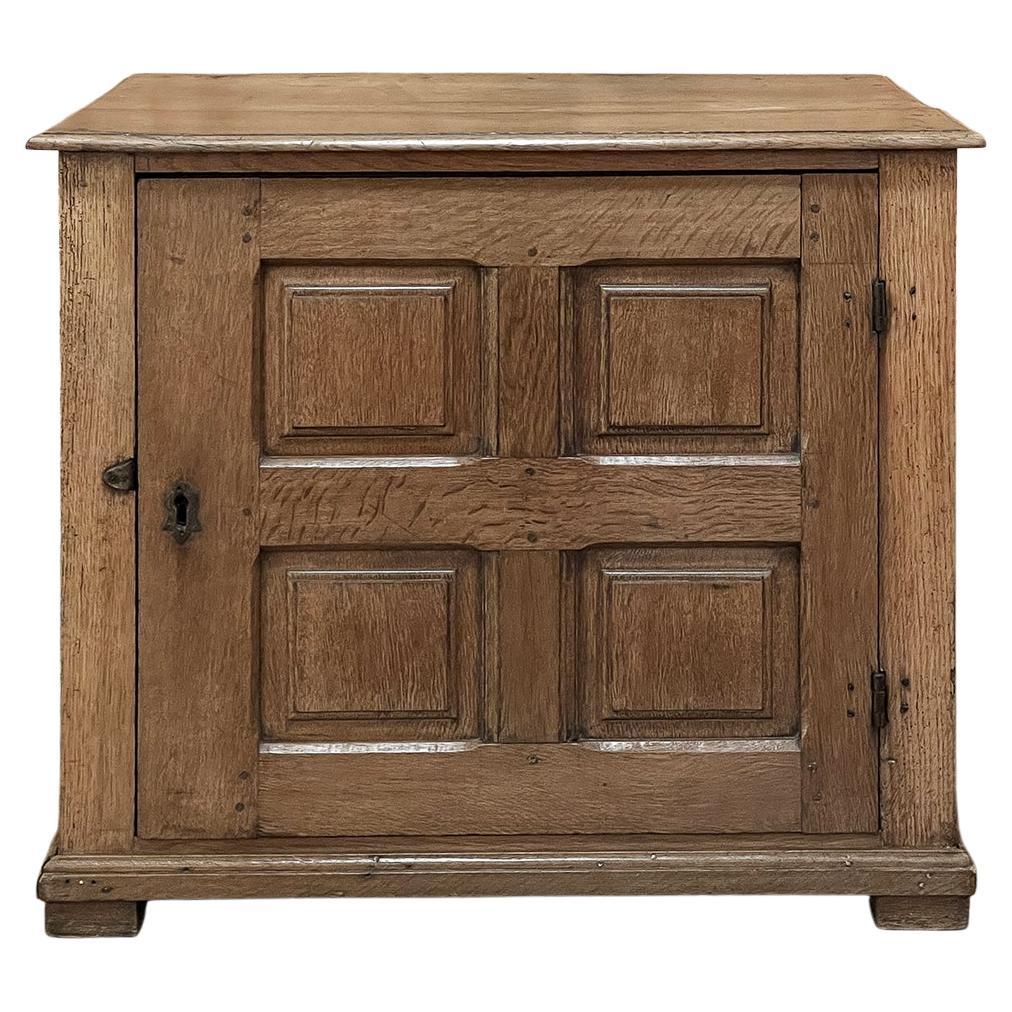 19th Century Rustic Oak Cabinet ~ Chest of Drawers For Sale