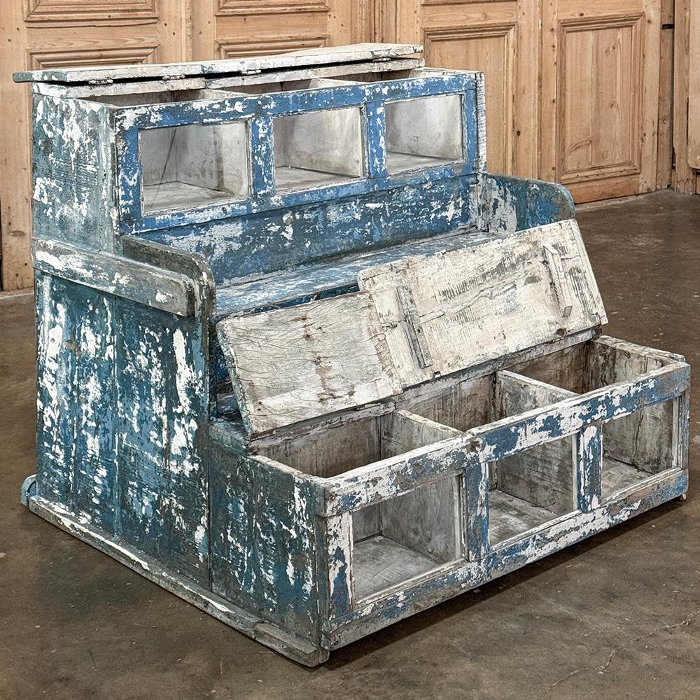 19th Century Rustic Store Display Case with Distressed Painted Finish For Sale 2