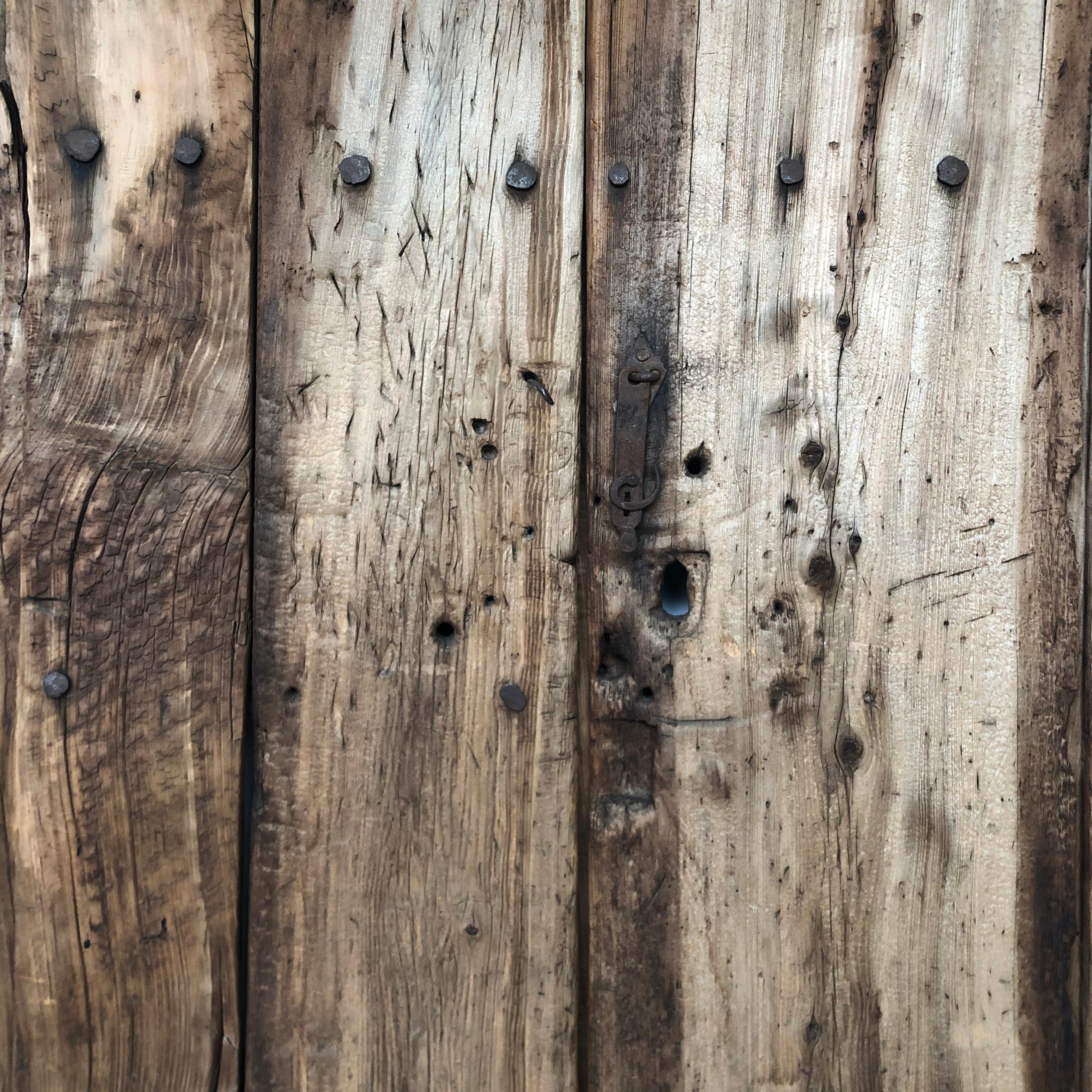 Mexican 19th Century Sabino Wood Door Found in Western México