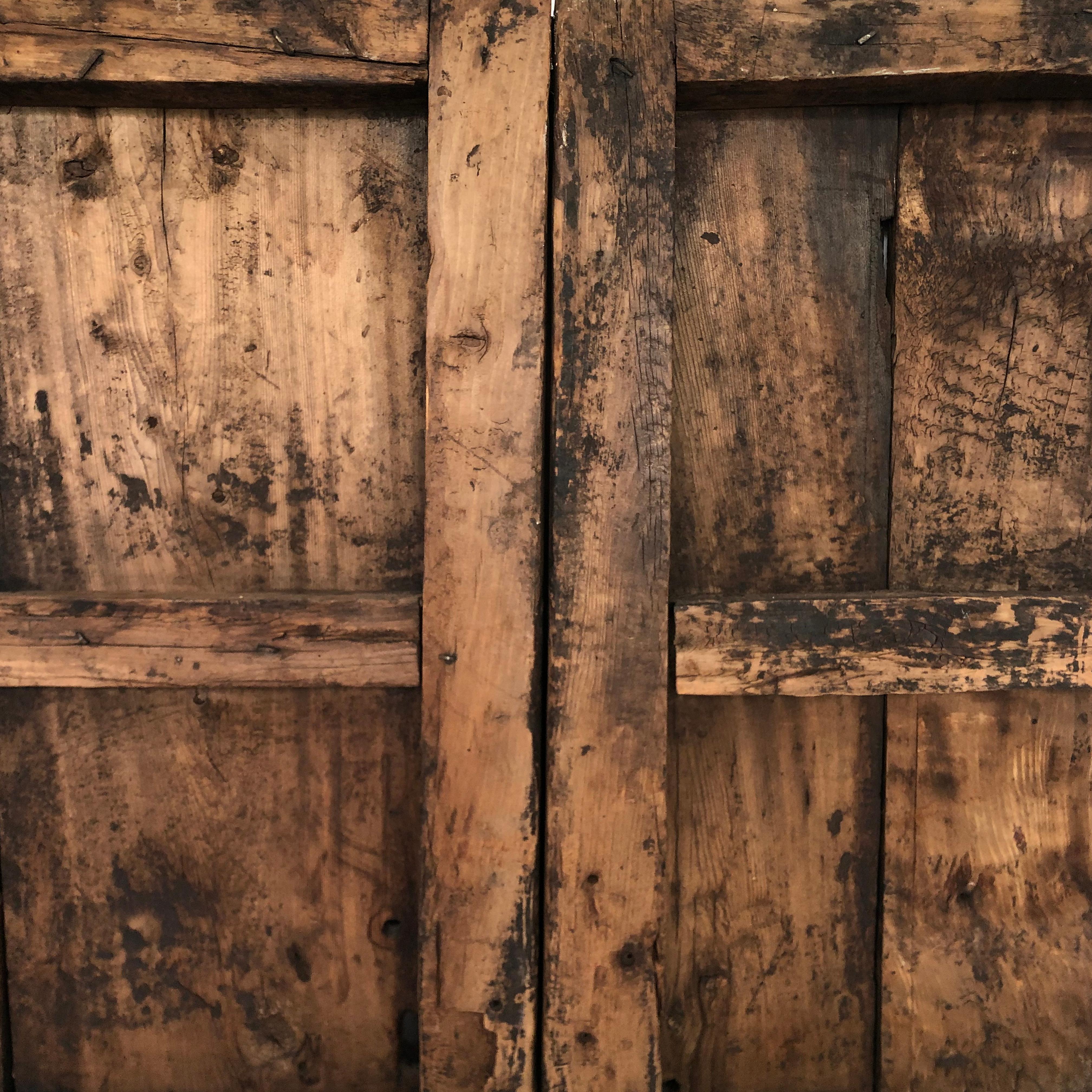 Hand-Crafted 19th Century Sabino Wood Door Found in Western México
