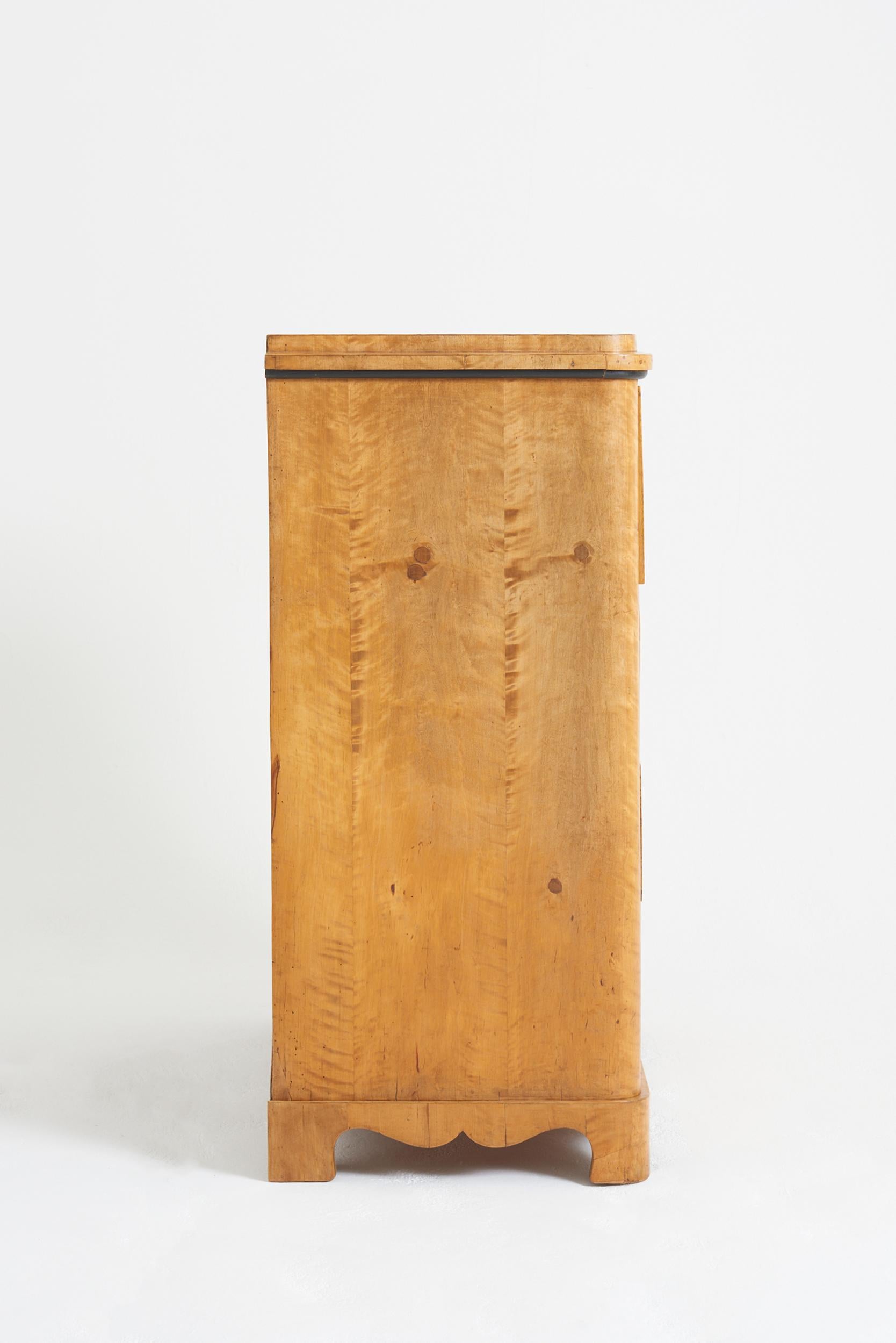 19th Century Satin Birch Chest of Drawers 13