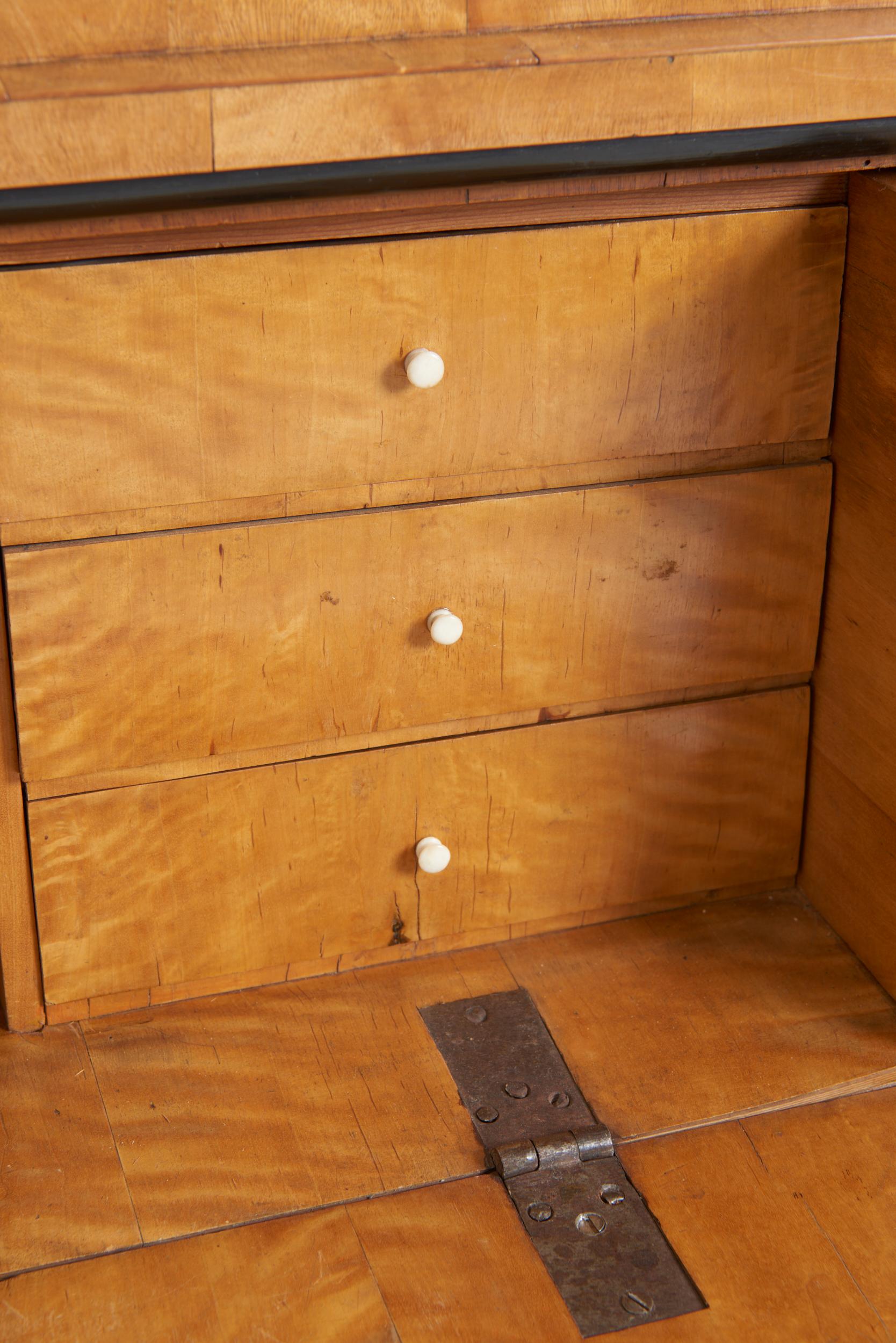 19th Century Satin Birch Chest of Drawers 2
