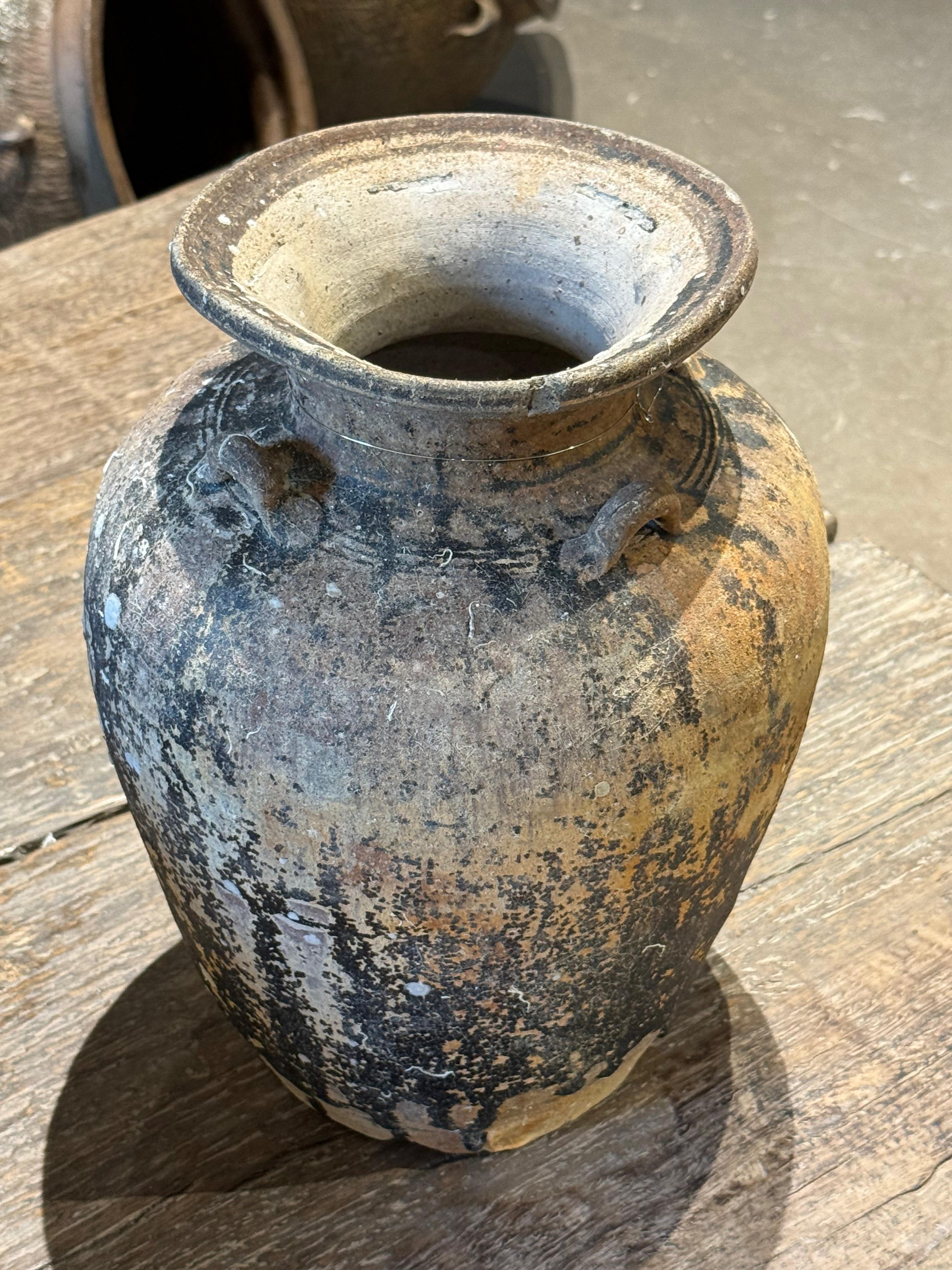 Jarrón del naufragio de un barco Sawankhalok, siglo XIX, Tailandia Tailandés en venta