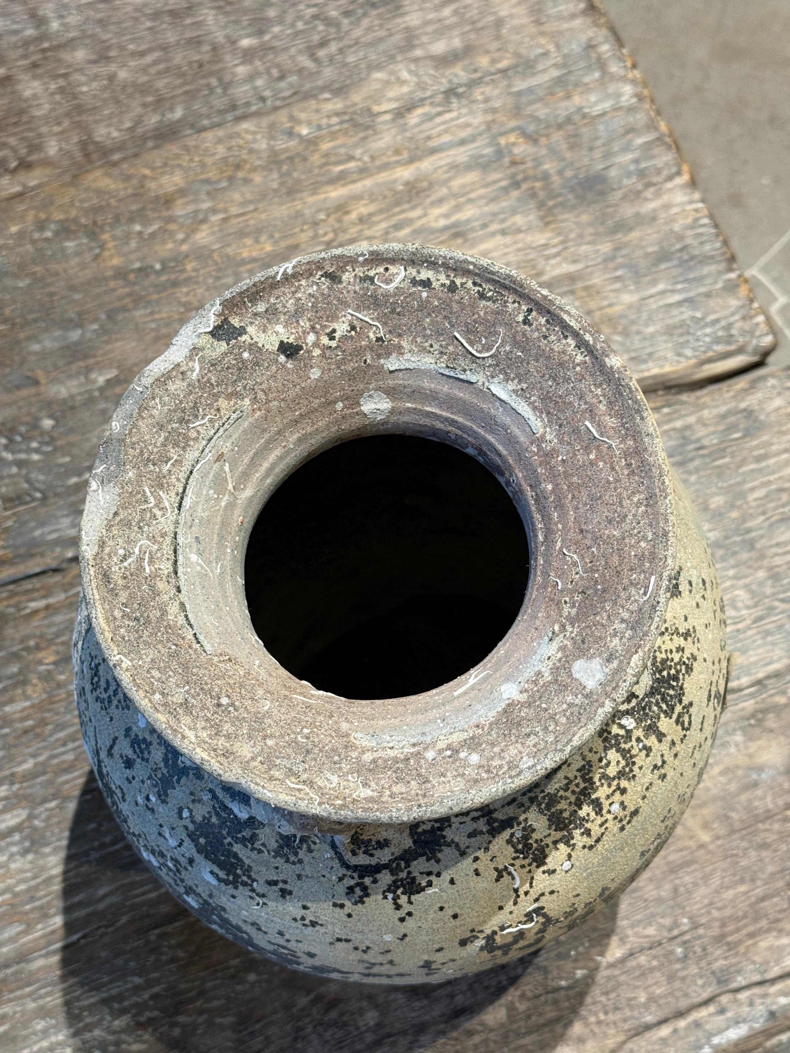 Thaïlandais Vase du 19e siècle, épave de navire Sawankhalok, Thaïlande en vente