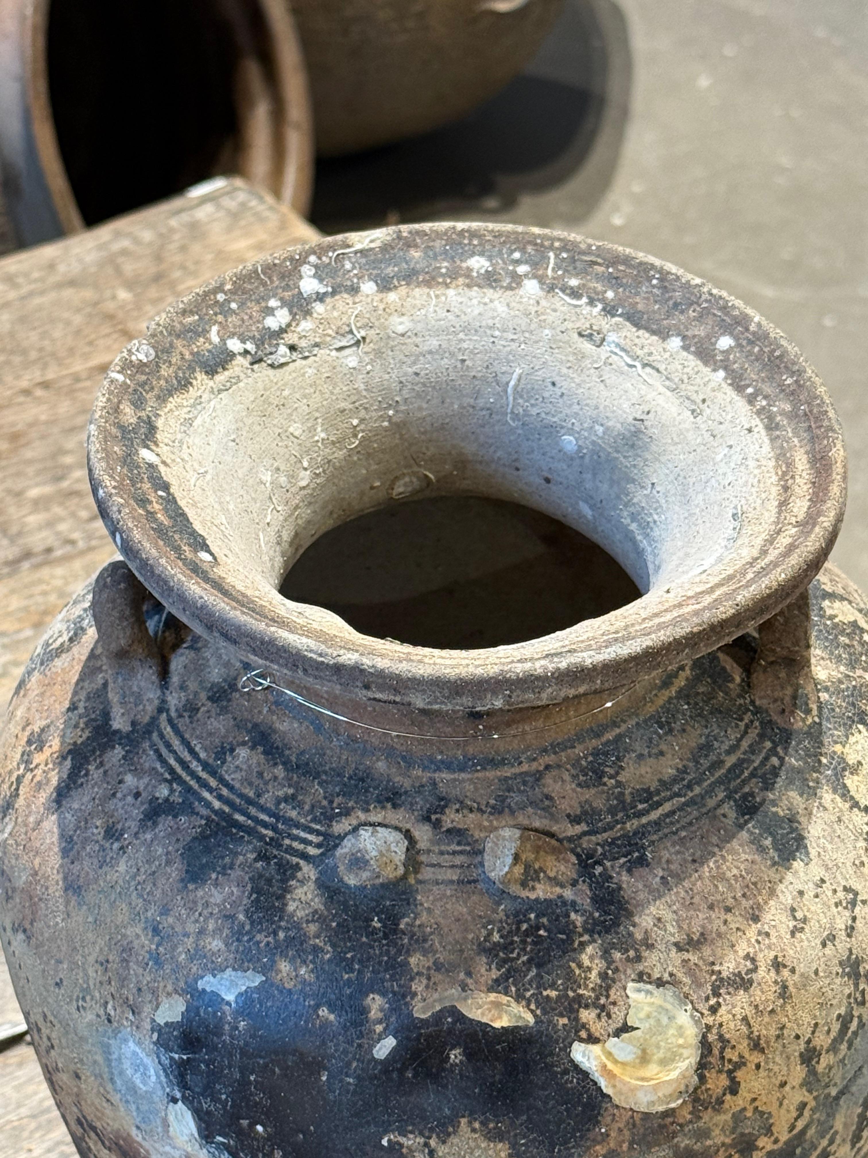 Jarrón del naufragio de un barco Sawankhalok, siglo XIX, Tailandia Cerámico en venta