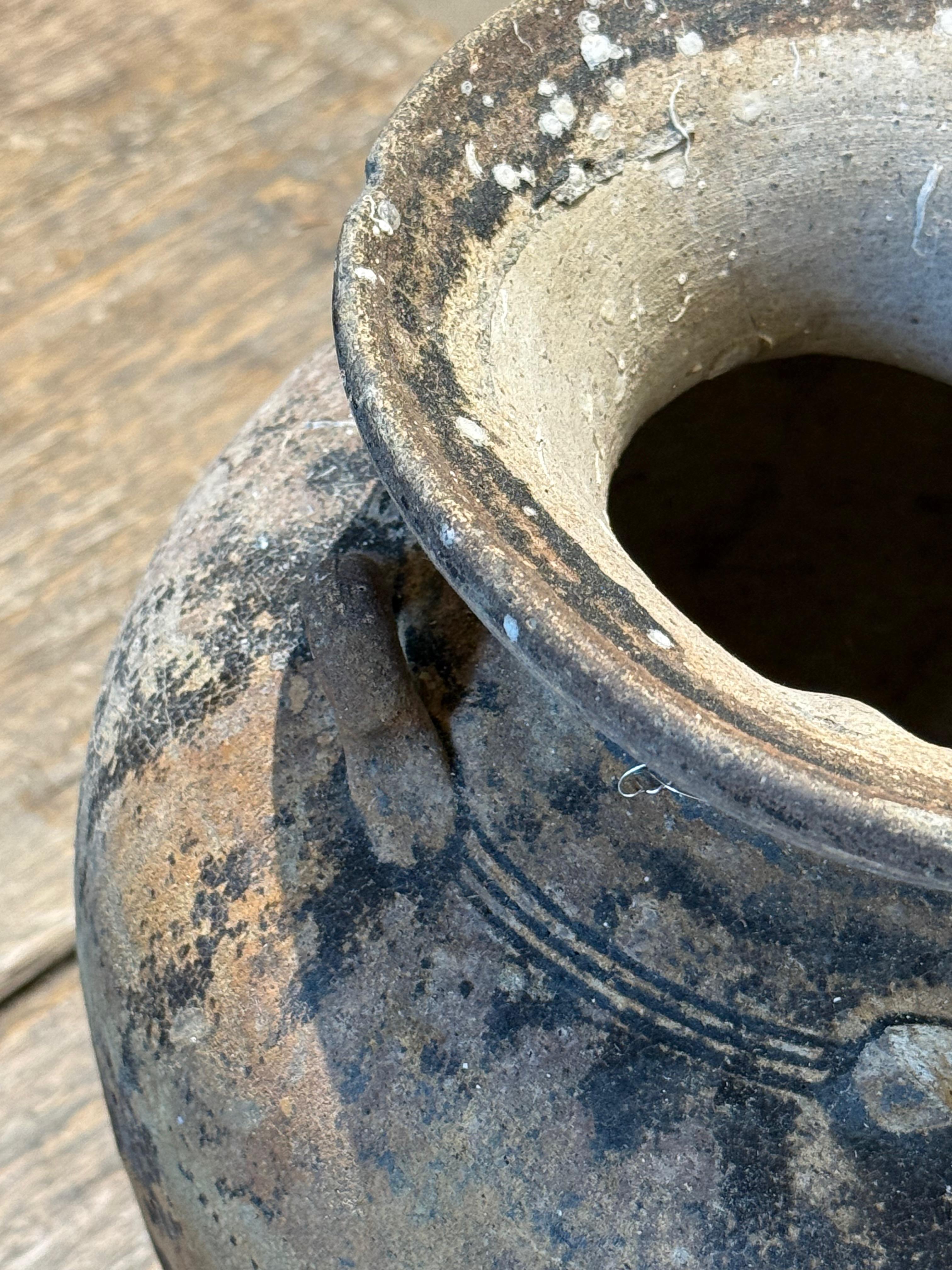 Jarrón del naufragio de un barco Sawankhalok, siglo XIX, Tailandia en venta 1