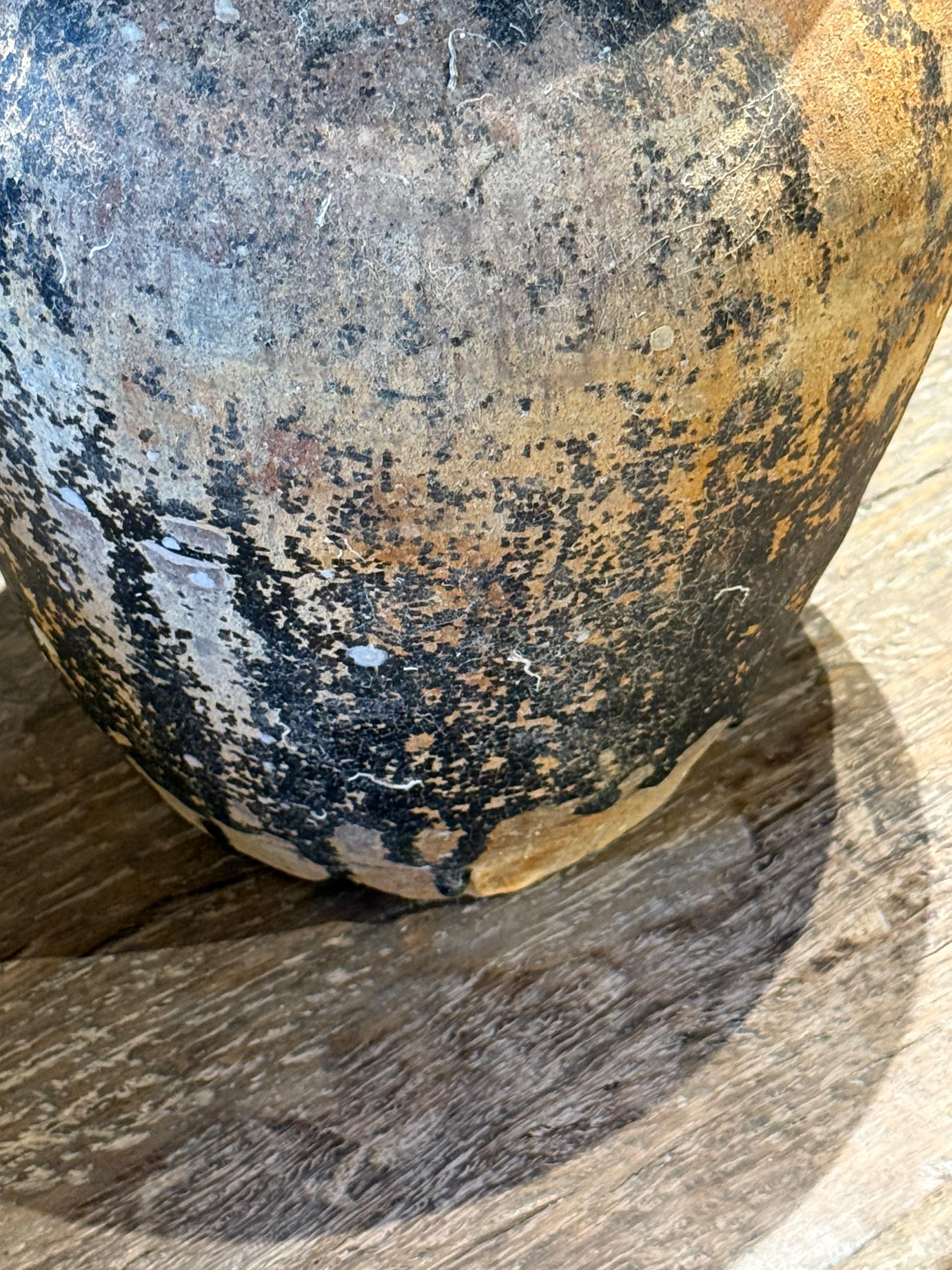 Jarrón del naufragio de un barco Sawankhalok, siglo XIX, Tailandia en venta 2