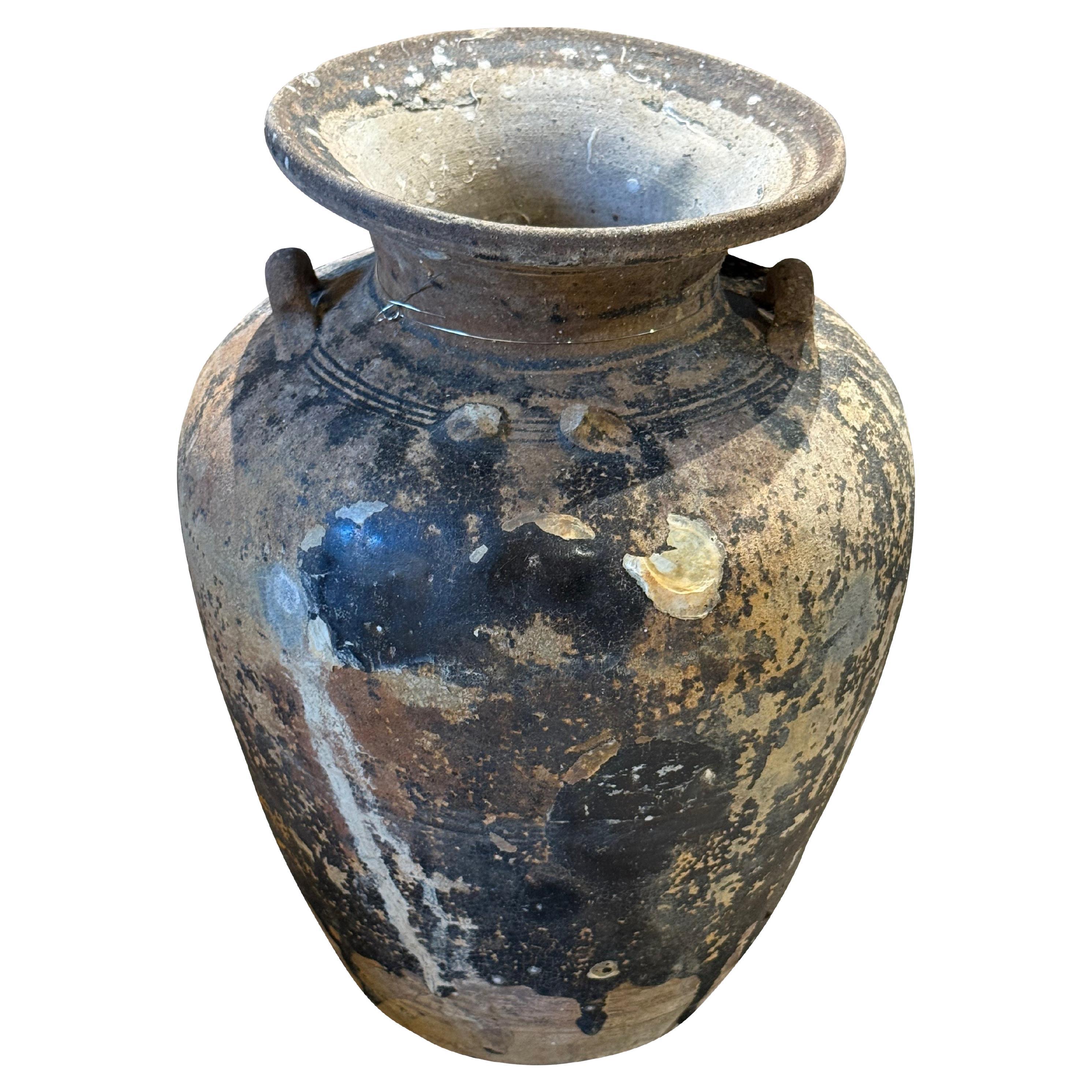 Vaso da relitto di nave Sawankhalok del XIX secolo, Thailandia